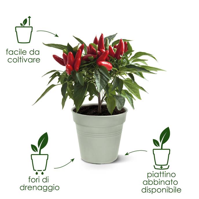 green basics growpot 19cm mild terra
